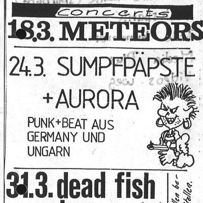 Flyer: Crash, 23.03.1989