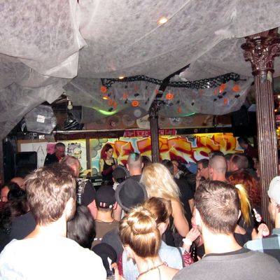 SUMPFPÄPSTE IN DER "KAISERHALLE", REUTLINGEN, 02. 11. 2013