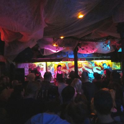 SUMPFPÄPSTE IN DER "KAISERHALLE", REUTLINGEN, 02. 11. 2013