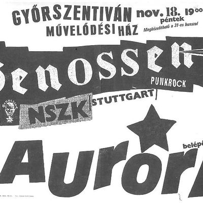 Flyer: Müvelödesi Ház, 18.11.1988